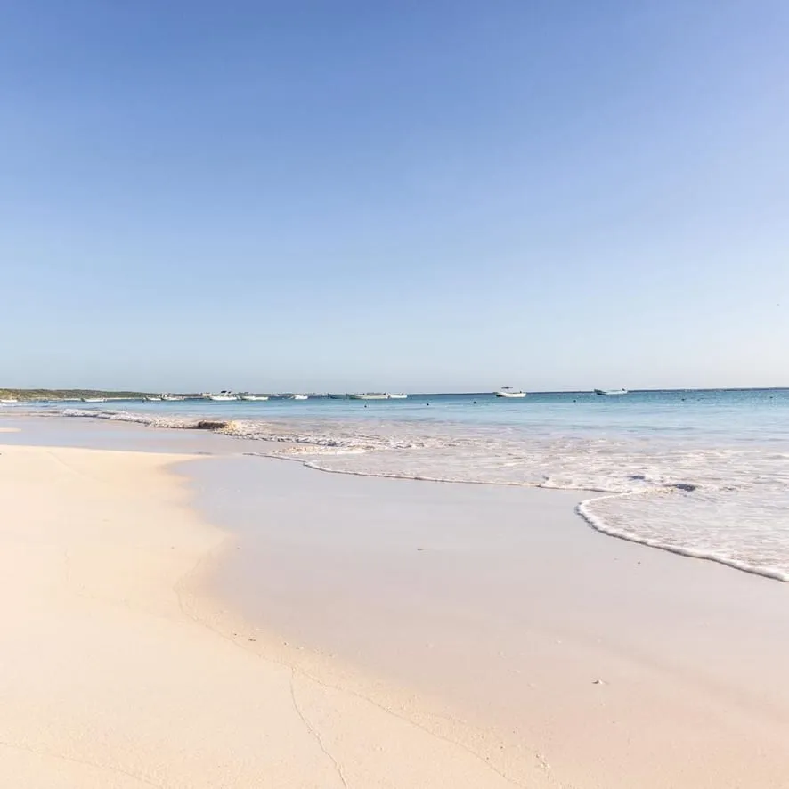 What to Expect from a Wellness Retreat in Mexico